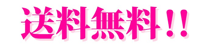 送料無料！