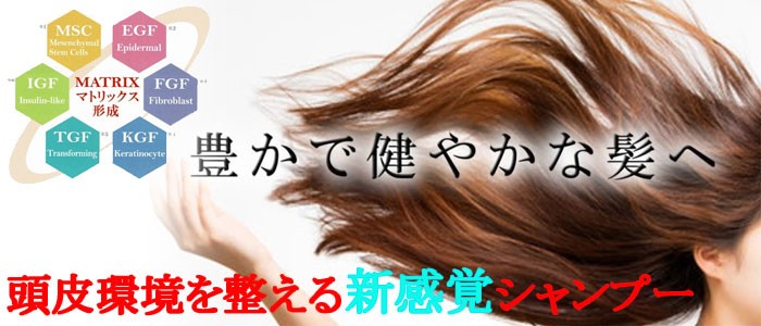 DDS MATRIX マトリックス シャンプー 250ml ヒアルロン酸 コラーゲン