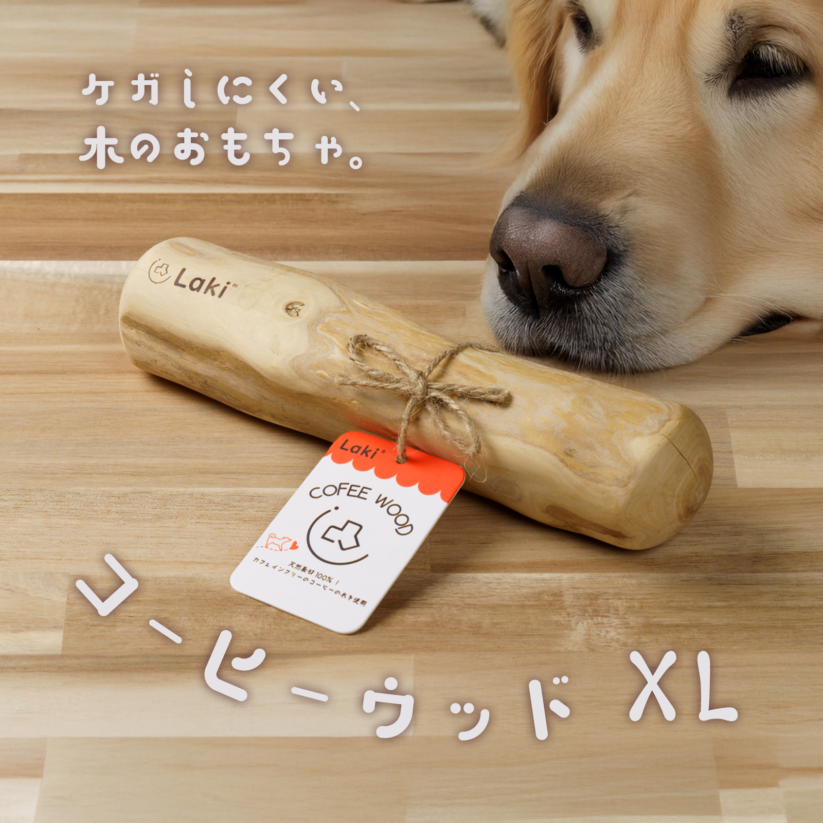 犬 天然木 おもちゃ 噛む コーヒーウッド 木 ささくれにくい かじり木 怪我防止 玩具 硬い 超小型犬 小型犬 ドッグトイ デンタルケア XLサイズ | ブランド登録なし | 01