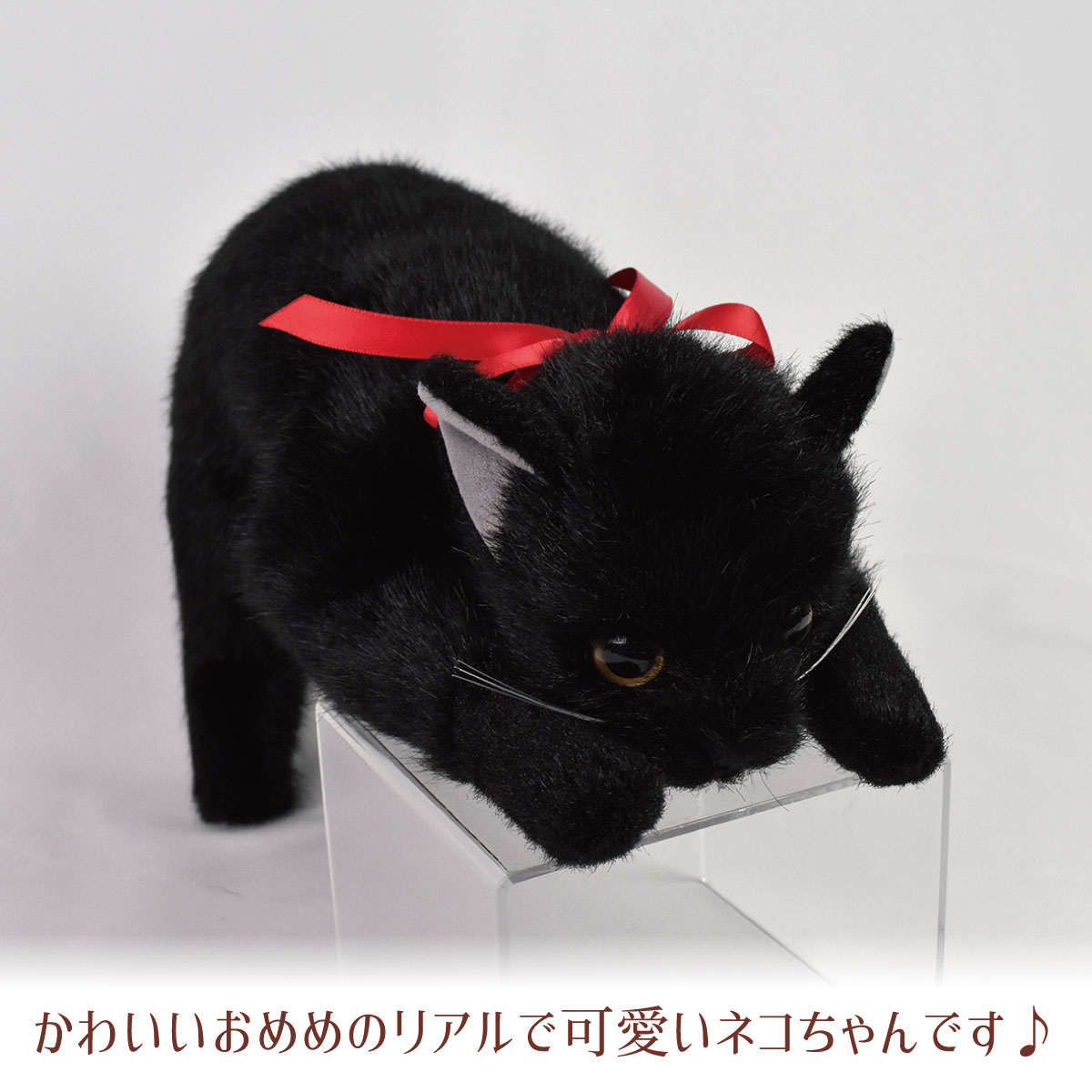 限定セール ぬいぐるみ 猫 リアル ネコ ねこ かわいい 本物そっくり 本物みたいな いやし猫 リアルな猫のぬいぐるみ 癒し Whitesforracialequity Org