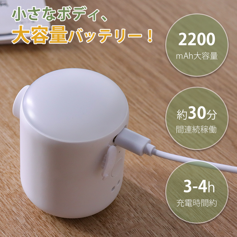  電動ポンプ