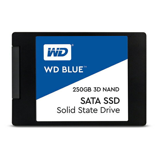 Western Digital WD BLUE SSD 250GB WDS250G2B0A ウエスタンデジタル