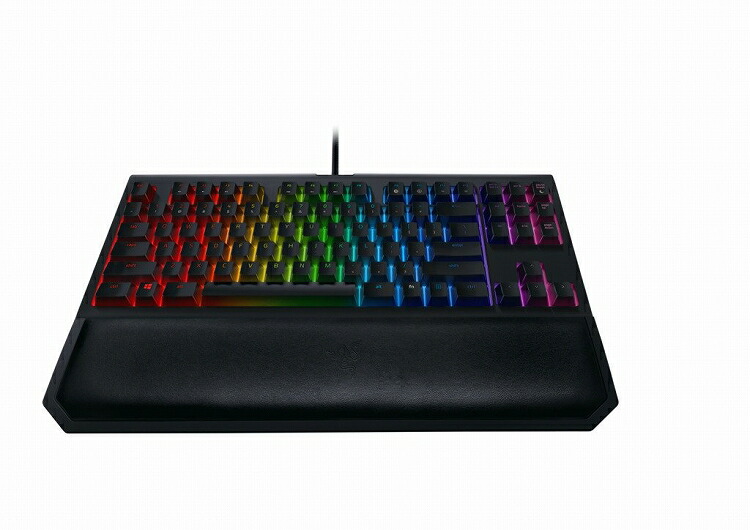 Razer ゲーミング キーボード RZ03-02190100-R3M1 英語配列レイザー