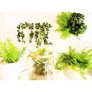 INTERIOR　インテリア雑貨