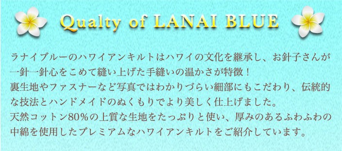 https://shopping.c.yimg.jp/lib/lanai-blue/in_img2-1.jpg
