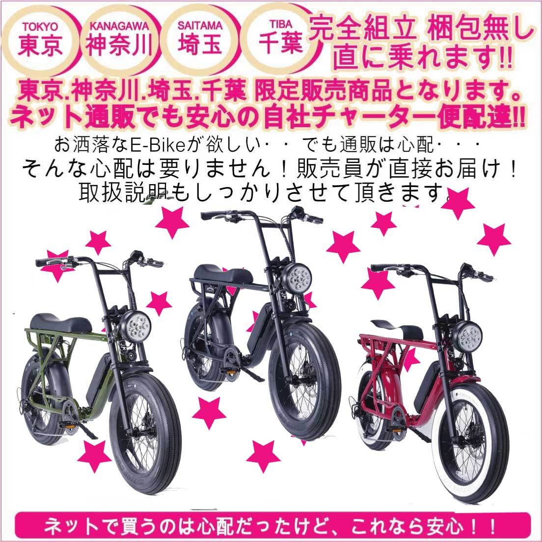 送料無料 期間限定 電動アシスト自転車 BRONX BUGGY-20 E-BIKE 