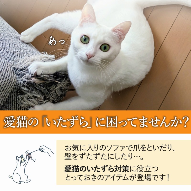 セール 猫 ラグ 爪痕