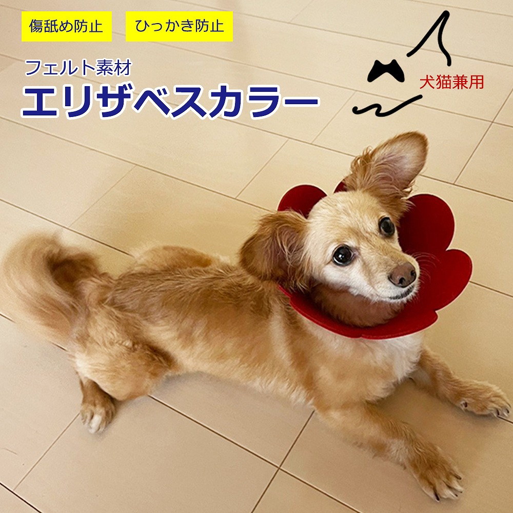 エリザベスカラー ソフトフェルト ト 軽量 猫 犬 ペット 柔らかい 手術後 ケア ペット用品 介護 怪我 傷 舐め 防止 S M ボタン サイズ調整  可愛い お花 フラワー