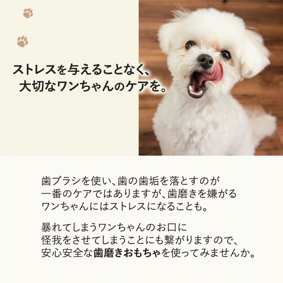 犬用おもちゃ 噛んで歯磨き 犬 ストレス解消 歯 ケア 健康 ペット ドッグ 安心 安全 愛犬 耐久性 投げても遊べる 口臭予防 清潔  :cim-pet-toys02-green:Lanctuary - 通販 - Yahoo!ショッピング