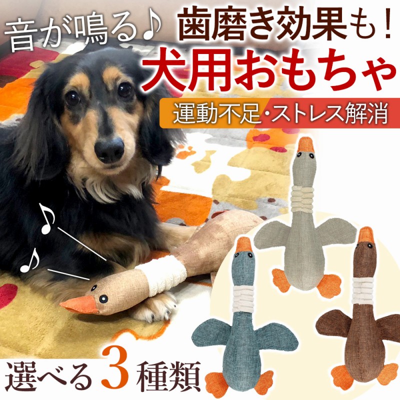 犬用 おもちゃ ぬいぐるみ 噛む あひる 壊れない 丈夫 人気 ストレス解消 歯磨き 噛む デンタルケア ペット ストレス解消 洗える 小型犬 大型犬  プレゼント