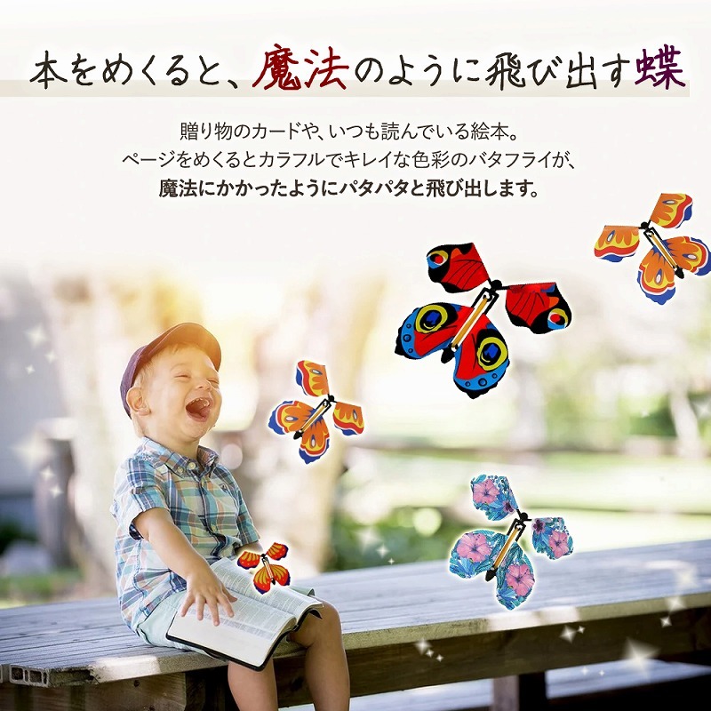 cim-surprise-butterfly01_2.jpg