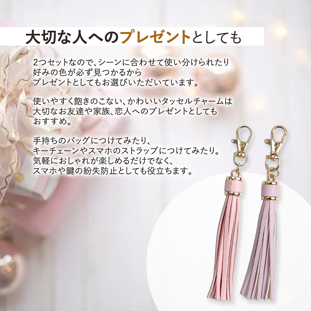 タッセル チャーム バッグチャーム バッグ キーホルダー かわいい ...