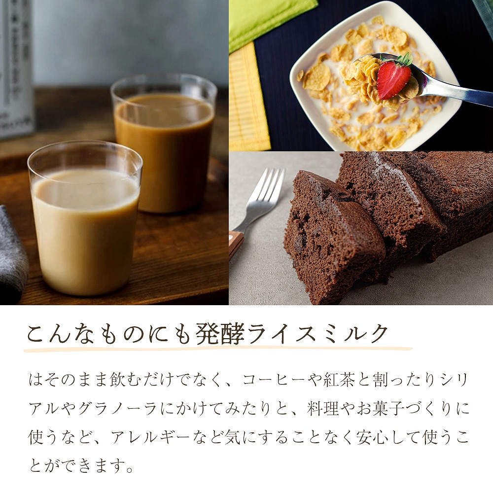 発酵ライスミルク 福光屋 1000ml 紙パック 米 米麹 国産100% 脂質ゼロ