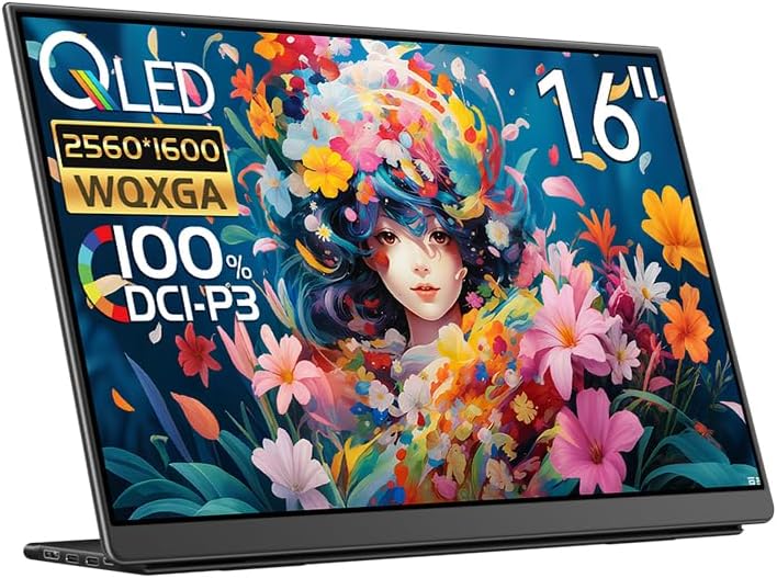 EHOMEWEI モバイルモニター EHOMEWEI LQG-160PW 16インチ 高性能 2K