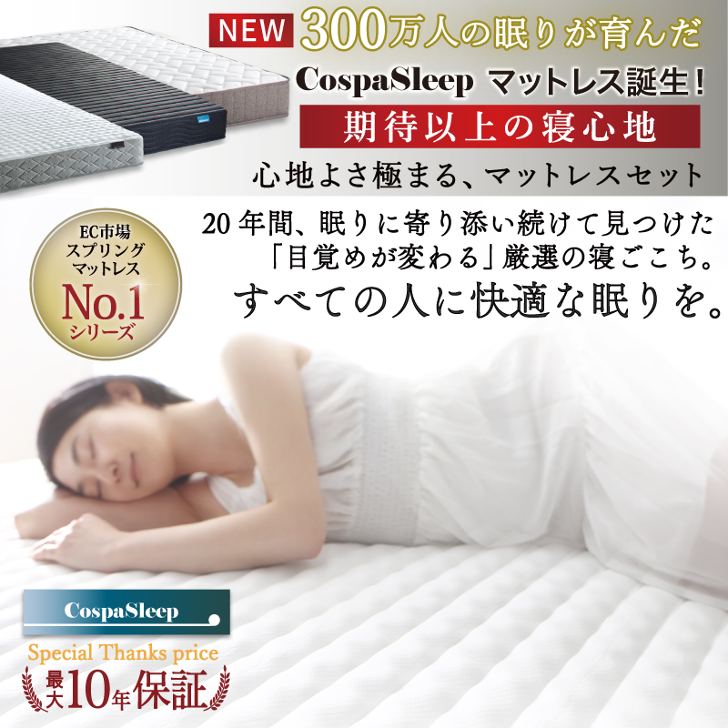ベッド セミダブルベッド ダブルベッド ベット ローベッド フロア