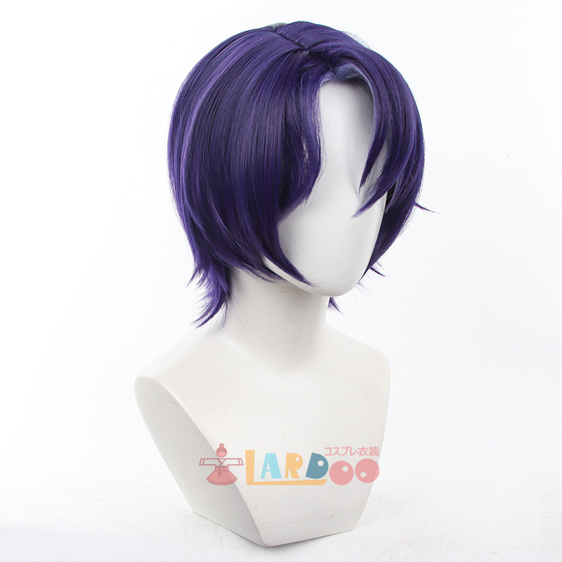 崩壊スターレイル 飲月 Lサイズ ウィッグつき 崩壊：スターレイル Honkai: Star Rail 丹恒 飲月君 コスプレ