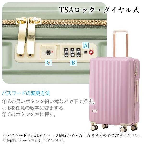 スーツケース ピンク Sサイズ 機内持ち込み TSAロック 短途旅行 出張