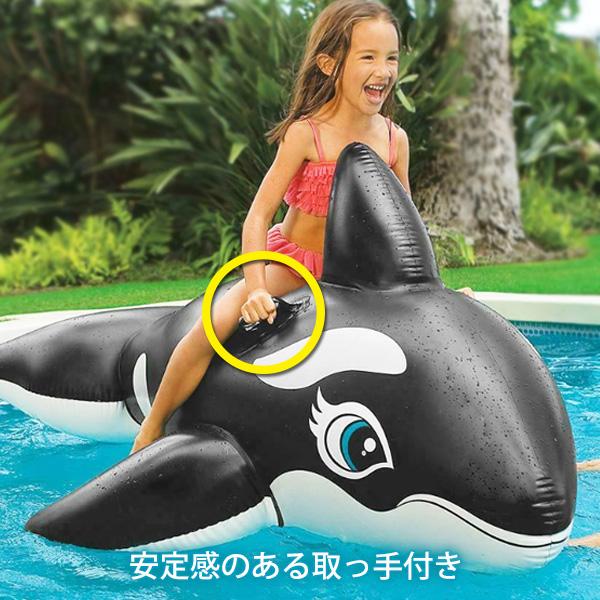 【オーダー用】夏ビーチ① カッティングダイ 海水浴 シャチ 浮き輪 イルカ 浮き輪 シャチ 取っ手 ハンドル 浮輪 うきわ プール 海 海水浴
