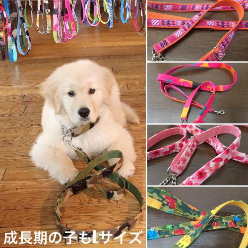 ピンクハート レトリバーサイズ ハーフチョークカラー単品 大型犬用
