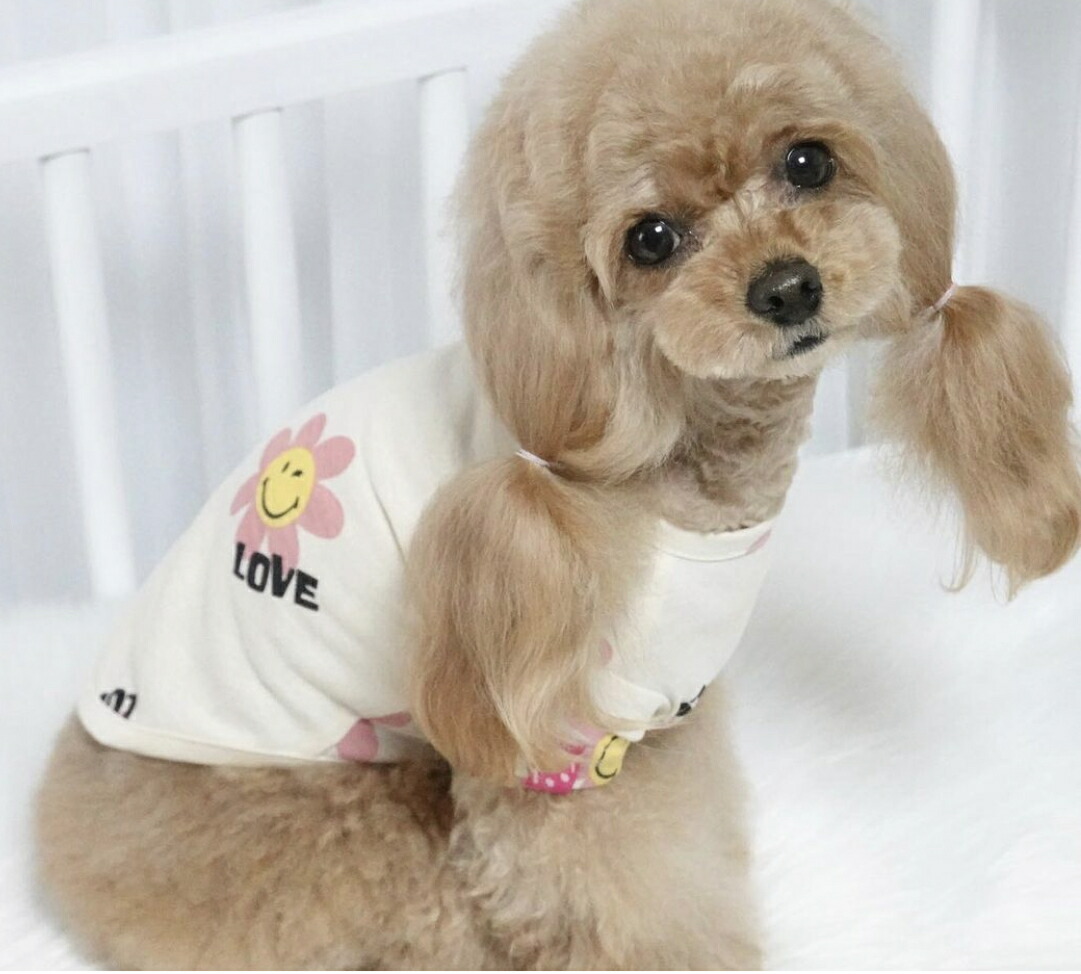 送料無料激安祭 Zoobico ズービコ ジョリー スリーブレス 3色 Xs Xlサイズ小型犬用服 韓国ドッグウエアー22 夏犬服 袖なし犬服 Hanuinosato Jp 送料無料激安祭 Zoobico ズービコ ジョリー スリーブレス 3色 Xs Xlサイズ小型犬用服 韓国ドッグウエアー22 夏犬服 袖なし犬服 Hanuinosato Jp