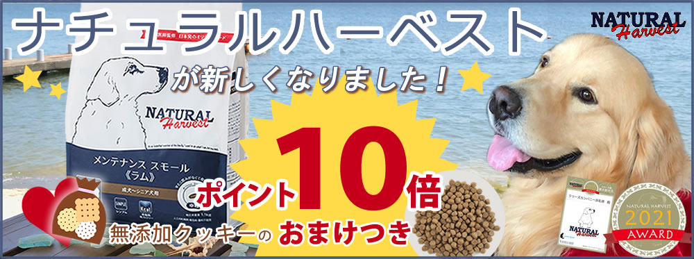 タイトル画像