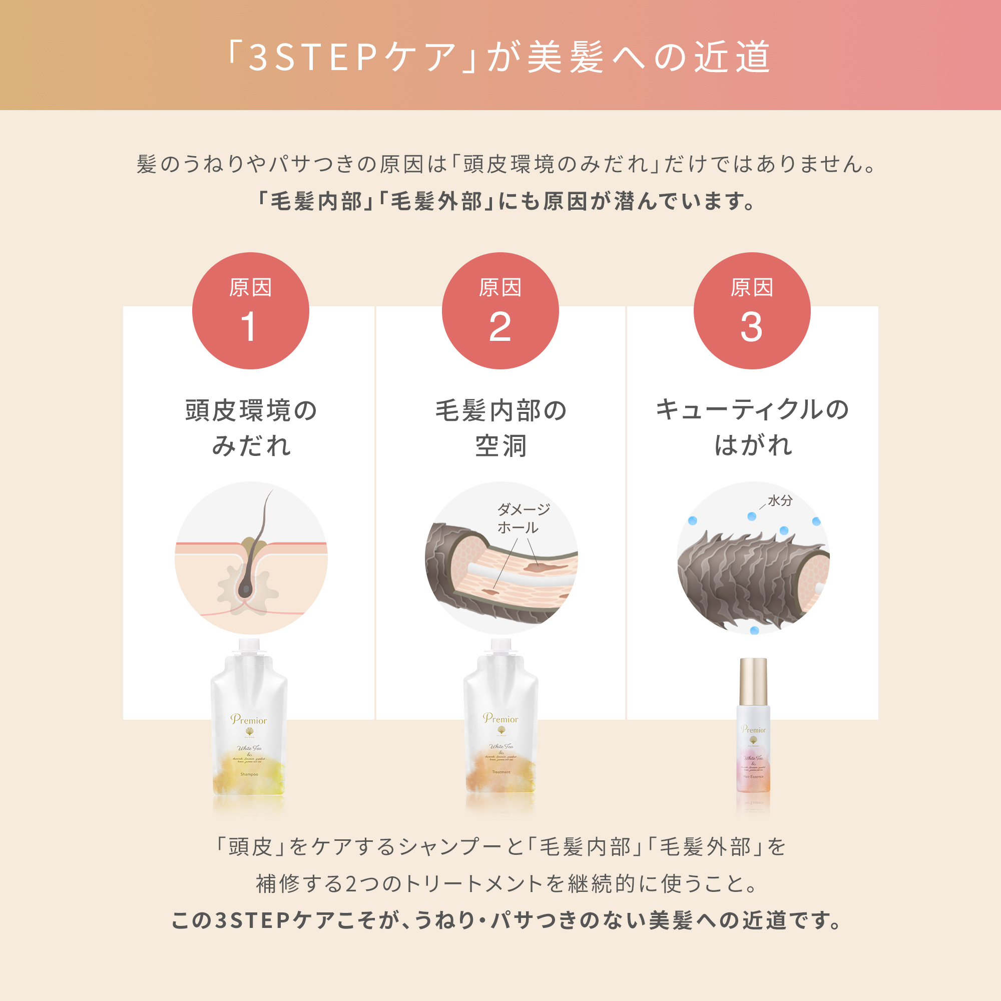La Sana（ラサーナ） プレミオール シャンプー＆トリートメントセット
