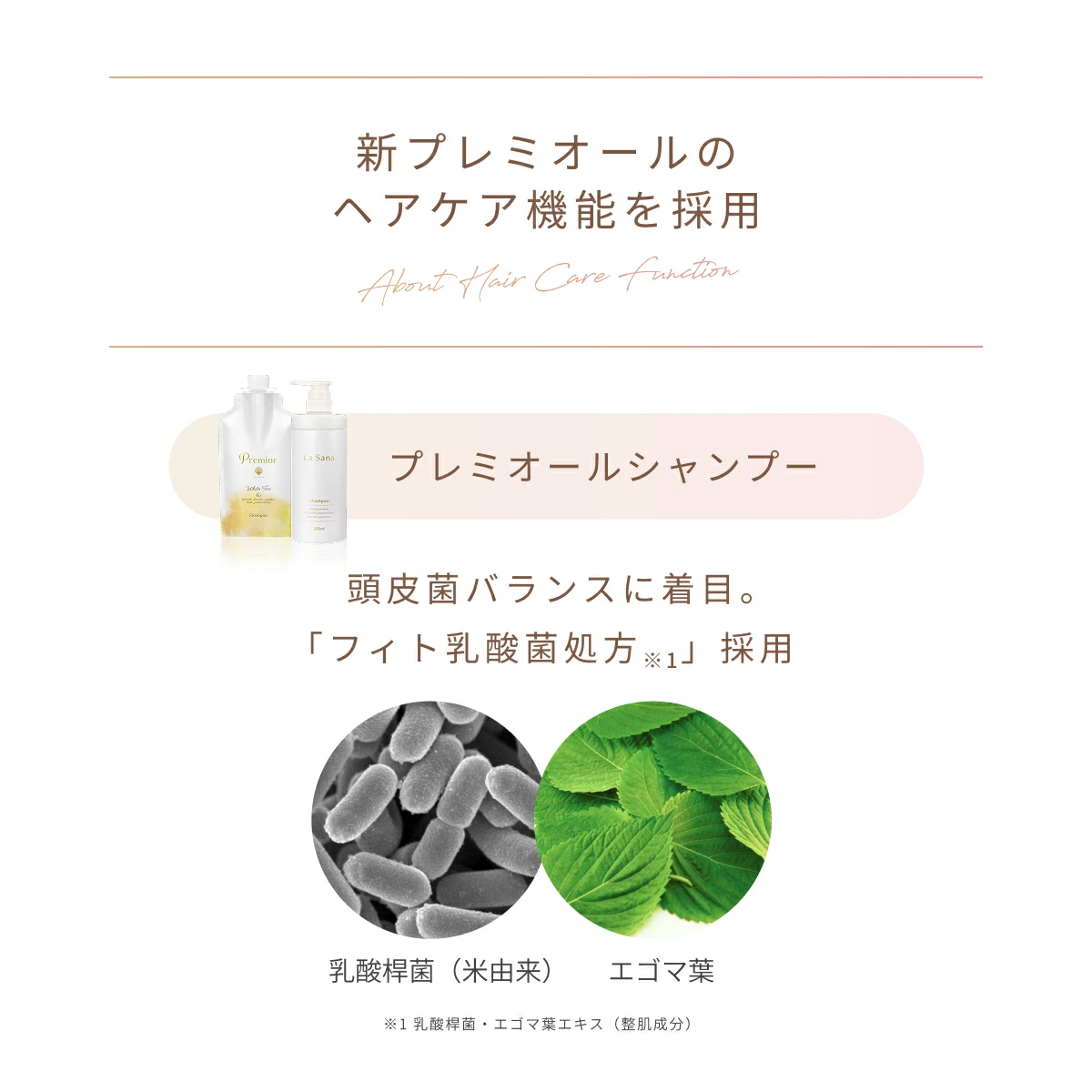 La Sana（ラサーナ） プレミオール シャンプー＆トリートメントセット