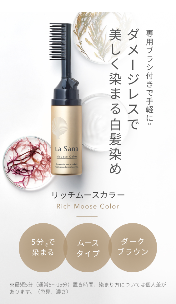 La Sana ヘアカラー ダークブラウン ムースタイプ ４本セット La Sana（ラサーナ） 白髪染め リッチムースカラー ダークブラウン 80g