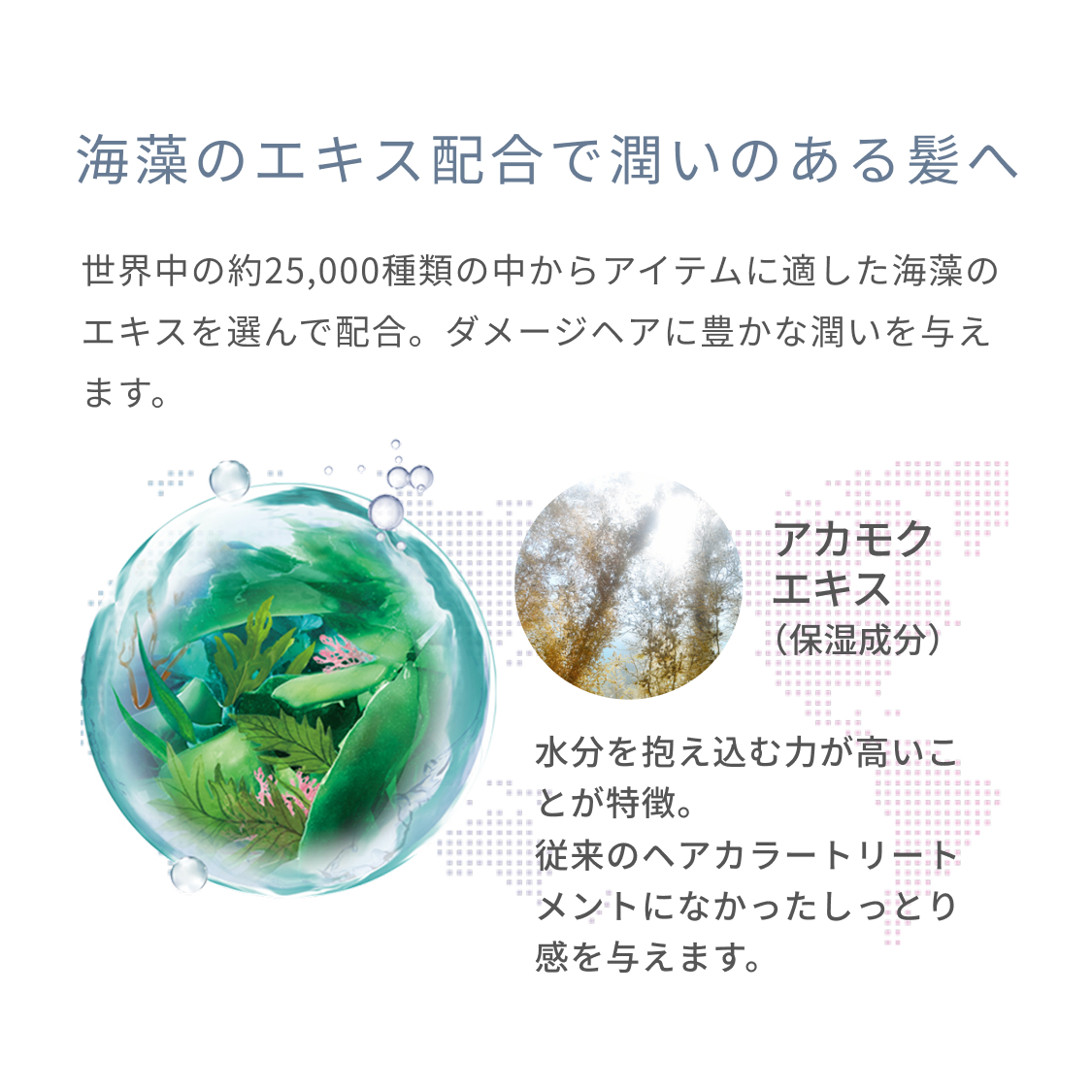 La Sana（ラサーナ） 白髪染め リッチカラー トリートメント ダーク