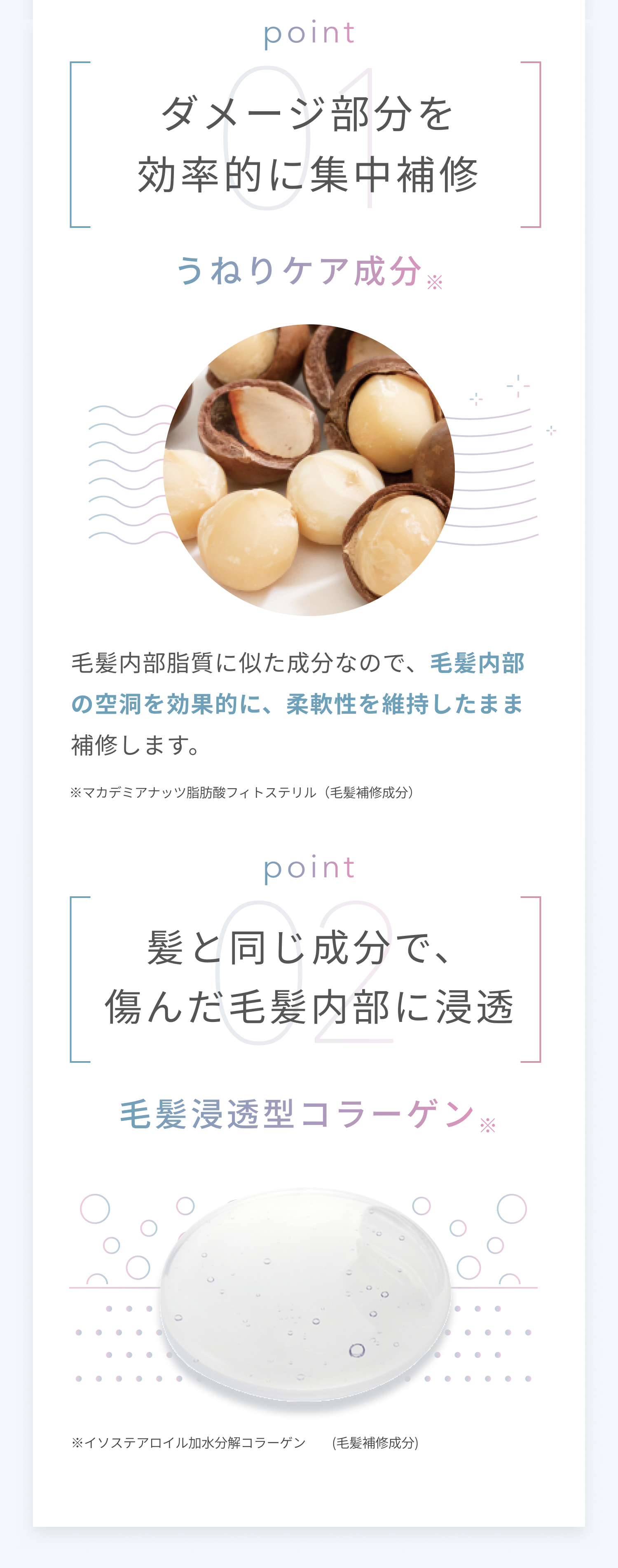 プレミオール 21日間スターターセット