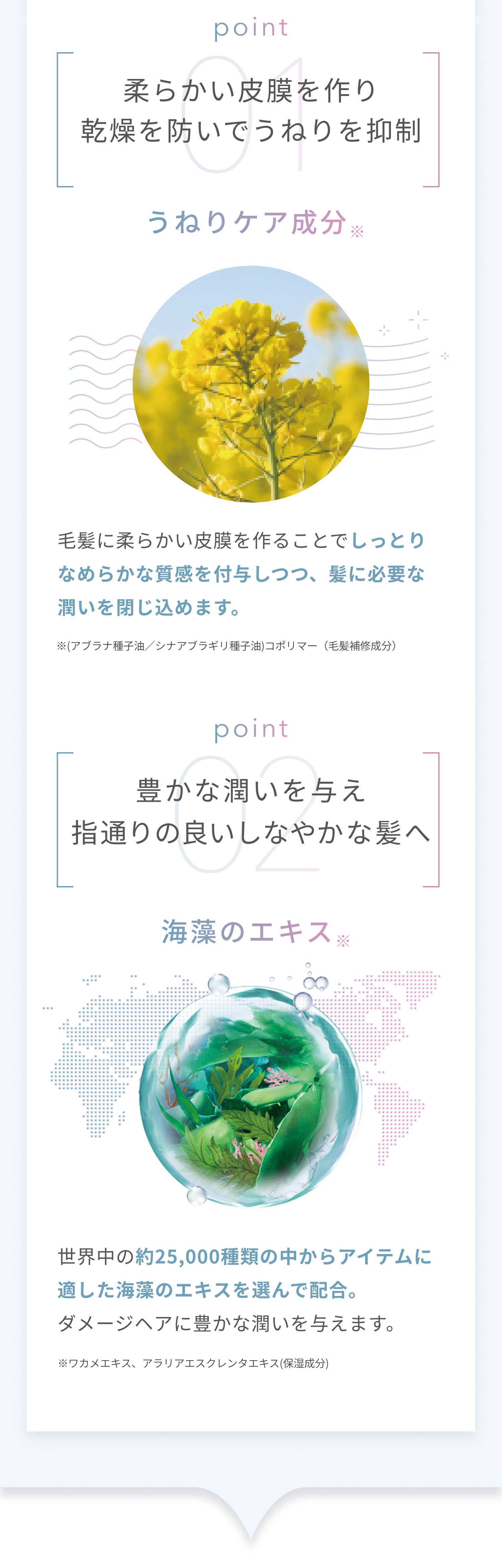 La Sana ラサーナ プレミオール 21日間 スターターセット ヘア