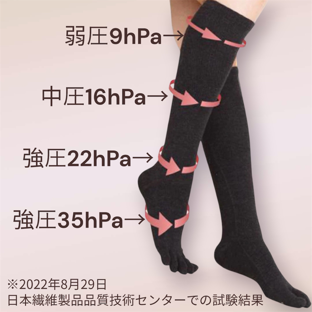 5本指 段階着圧設計 ハイソックス 22-24cm 24-26cm 26-28cm 薄手 11084