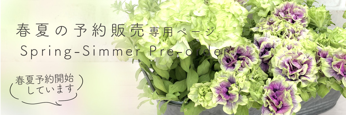 タイトル画像