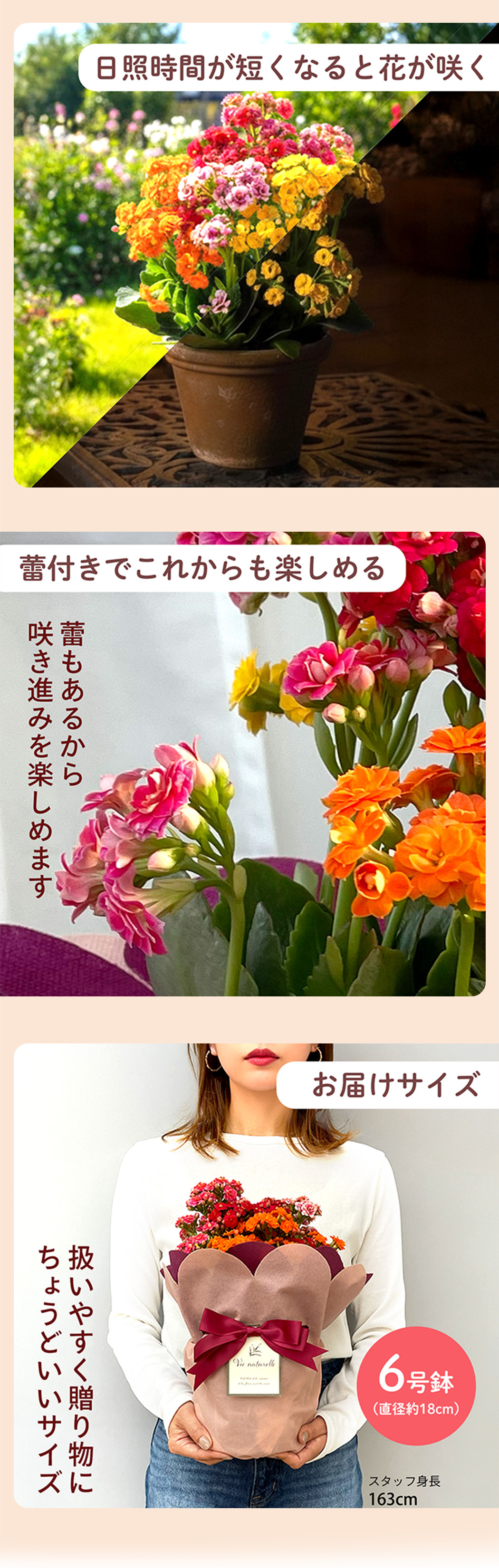 花2
