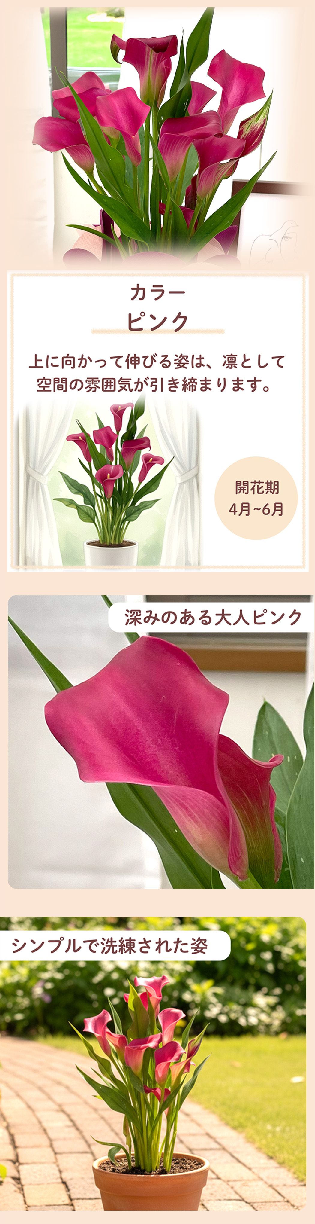 花1