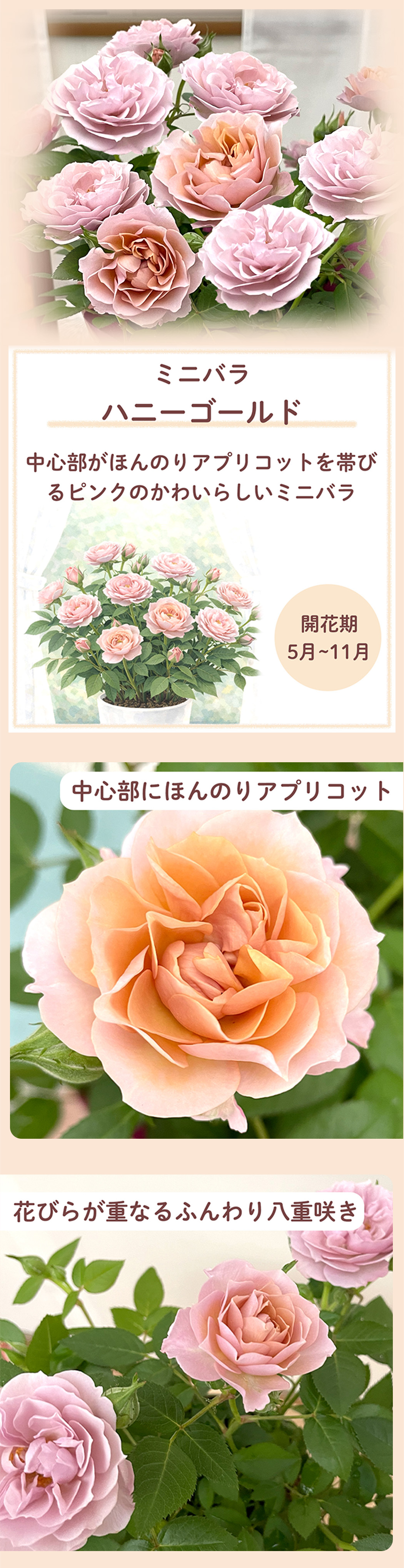 花1