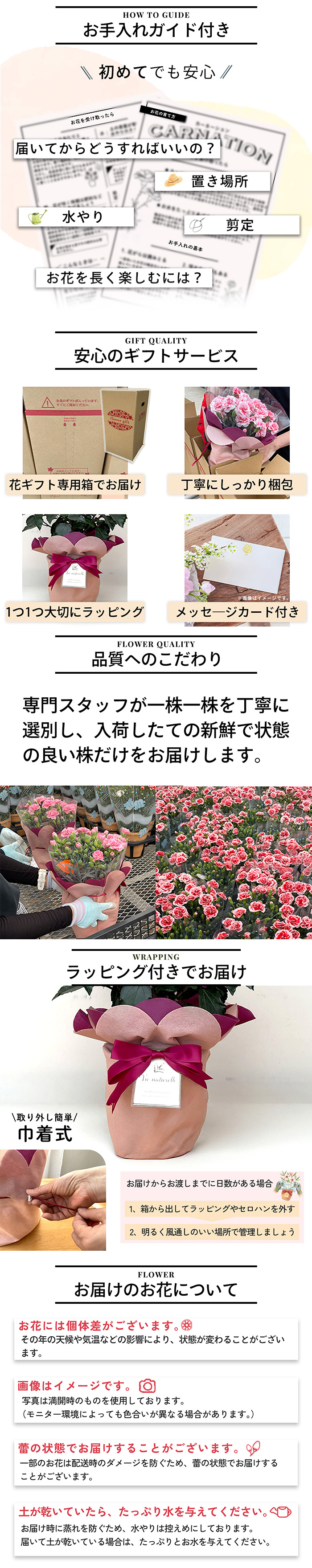 母の日説明1