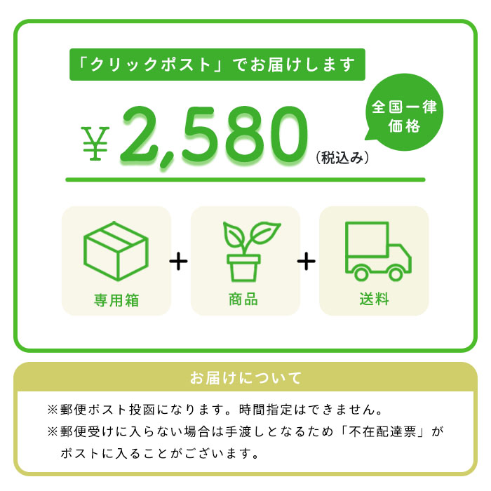 予約販売】送料無料 ウチョウラン ミックス球根 山野草 10球 福袋 羽蝶