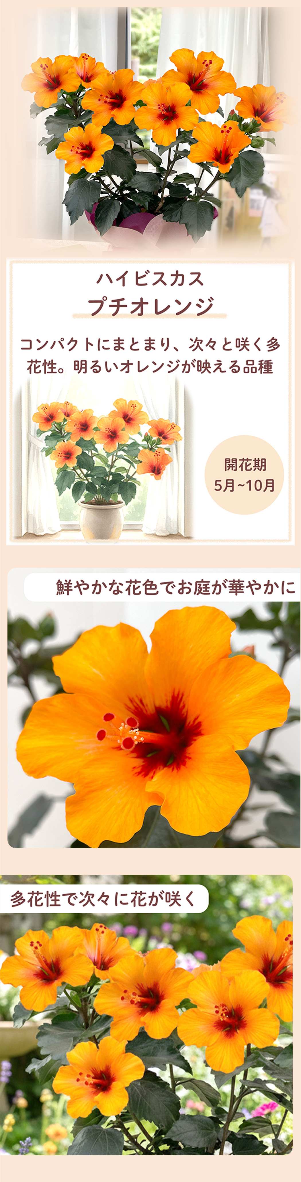花1