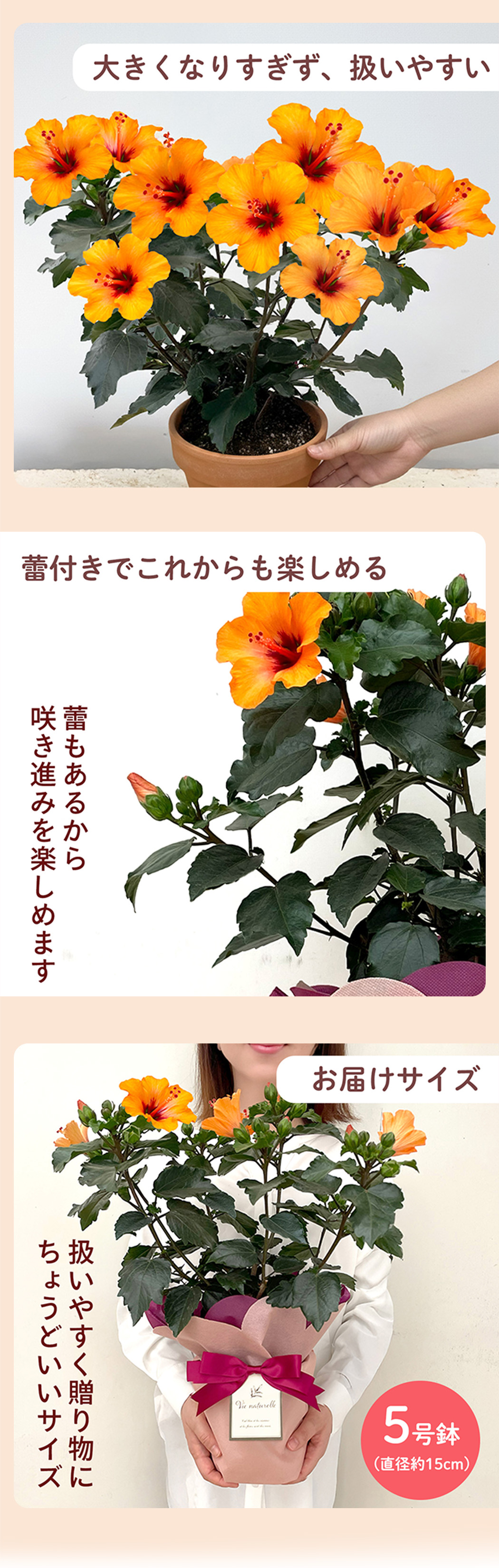 花2