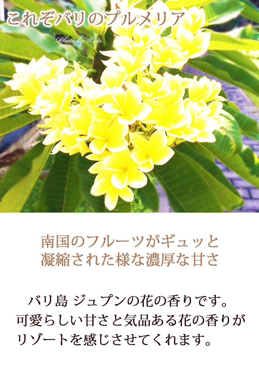 花画像