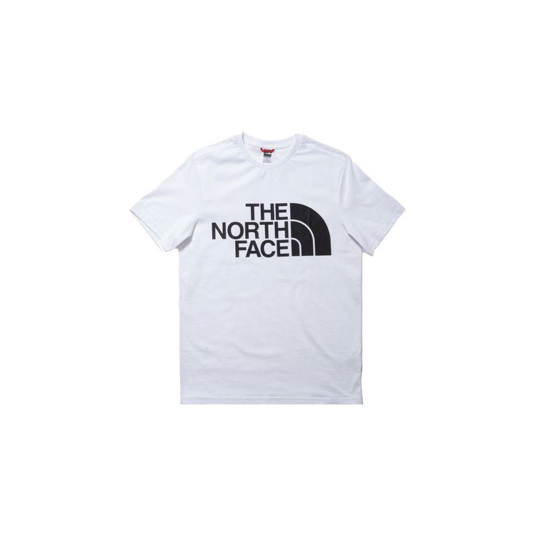 ノースフェイス Tシャツ THE NORTH FACE Tシャツ 半袖 EUライン メンズ トップス 2022 新作｜lattachey｜02