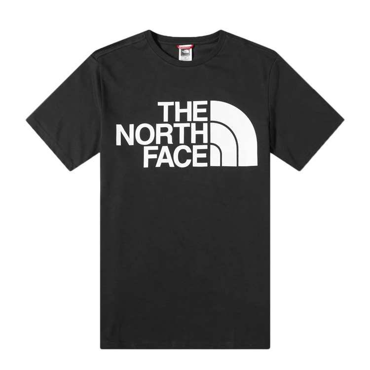 ノースフェイス Tシャツ THE NORTH FACE Tシャツ 半袖 EUライン メンズ トップス 2022 新作｜lattachey｜03