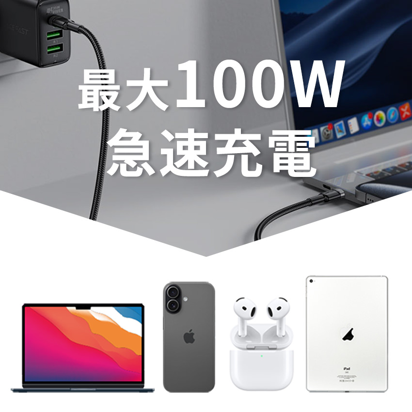 AceFast 2in1 充電ケーブル 1.25m 2台同時充電 TypeC 急速充電 100W