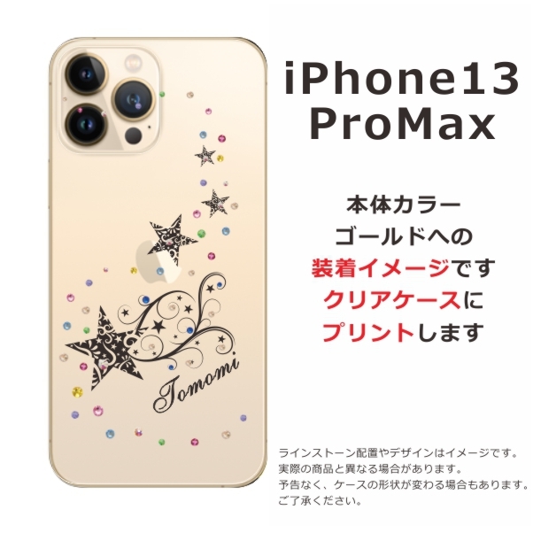 ip13pm-1002-black-w.jpg