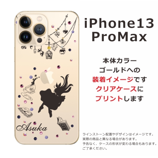 ip13pm-1003-black-w.jpg