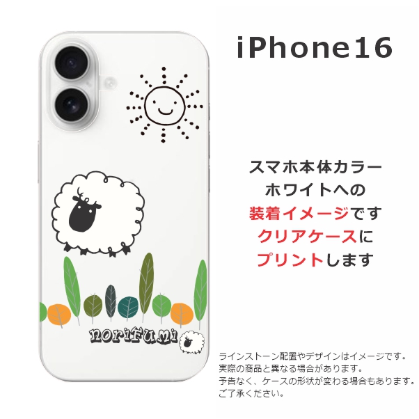 ip16-4351-w.jpg
