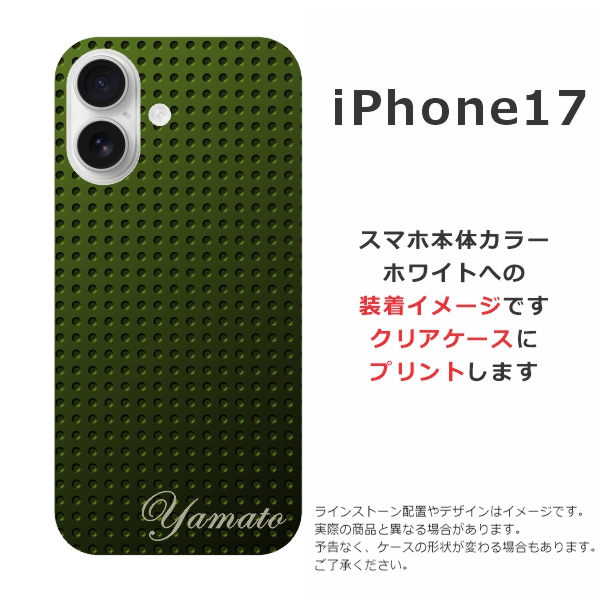 ip17-0005.jpg