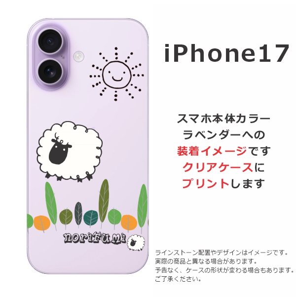 ip17-4351-c.jpg