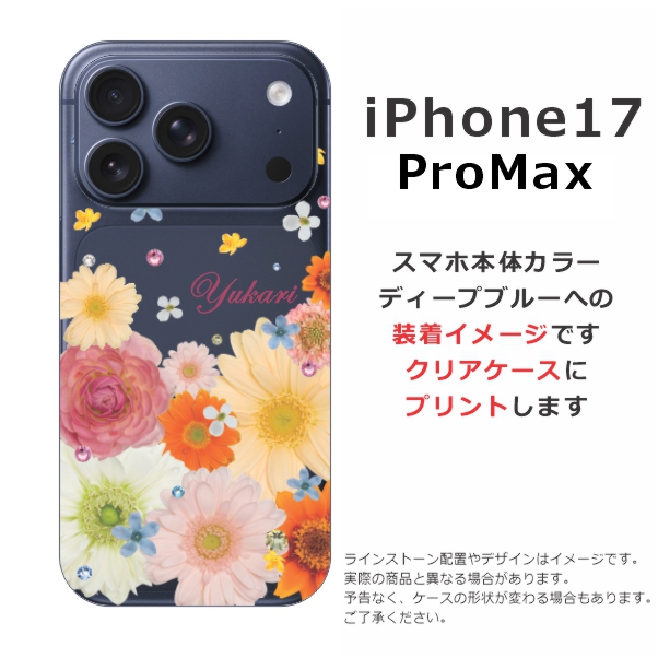 ip17pm-6034-b.jpg